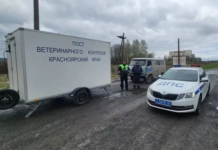 Круглосуточный ветеринарно-полицейский карантинный пост на федеральной автомобильной трассе Р-255 Сибирь на границе Красноярского края и Кемеровской области, инспекторы и сотрудники ДПС досматривают грузовик со скотом 13 мая 2026 года.