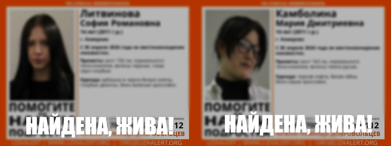 Волонтеры поискового отряда «Лиза Алерт» в ярких жилетах обсуждают план поиска.